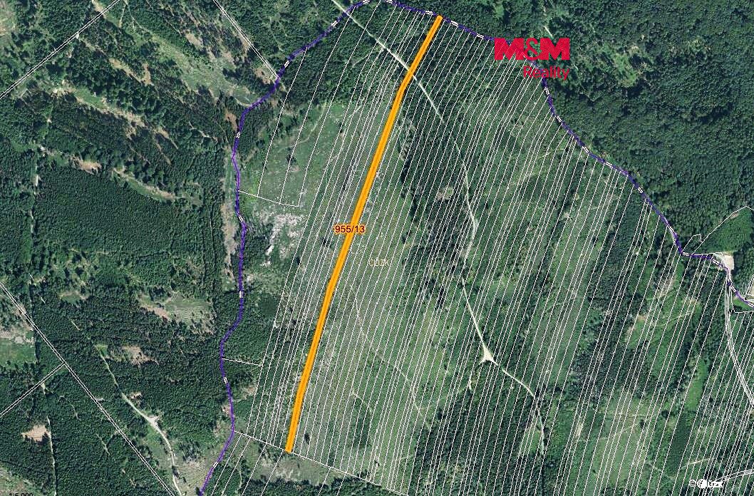 Prodej lesa 5695 m², Nová Hradečná – fotka 1 z 3