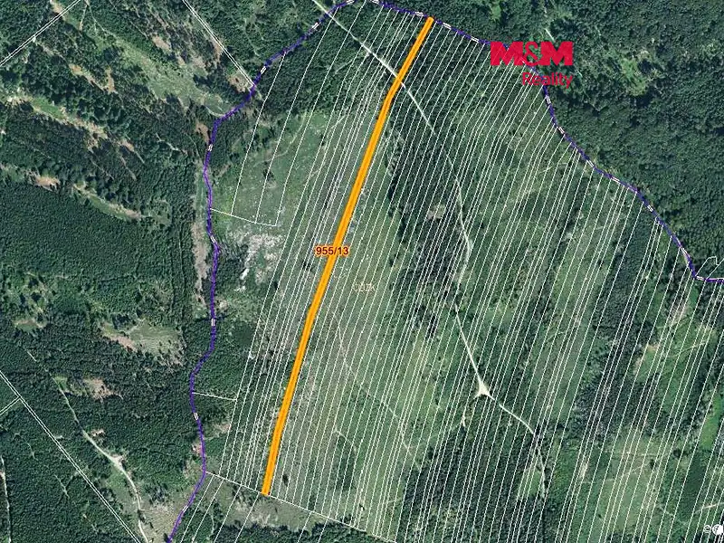 Prodej lesa 5695 m², Nová Hradečná – náhled fotky 1