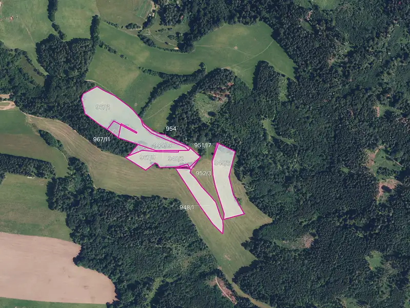 Prodej louky 51772 m², Postřelmůvek – náhled fotky 1