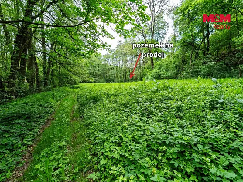 Prodej lesa 491 m², Červené Pečky – náhled fotky 3
