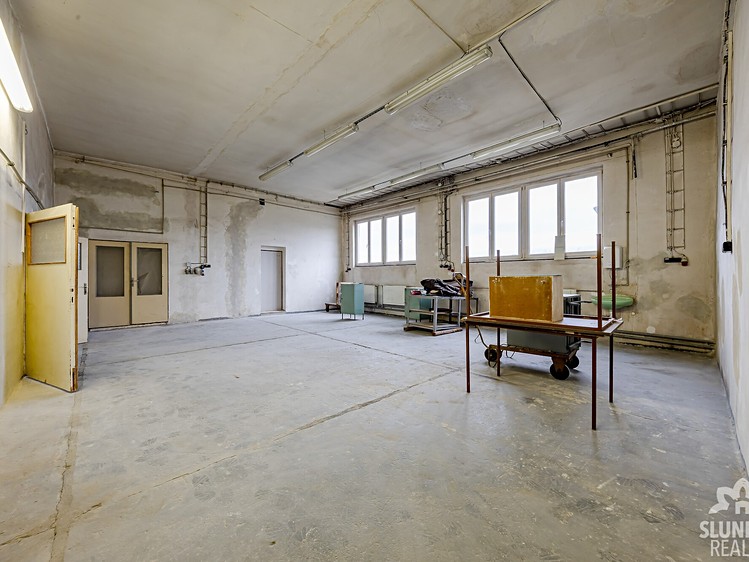 Pronájem komerčního prostoru, 209 m² (3 z 12)