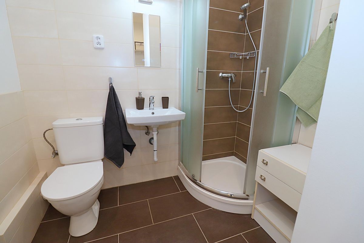 Pronájem bytu 1+1 36 m² – fotografie 5