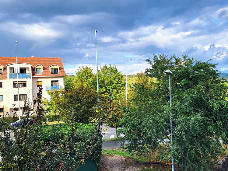 Ostatní