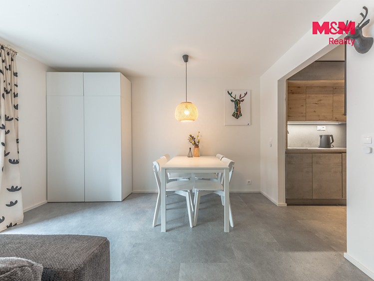 Prodej bytu 1+kk, 29 m² (20 z 27)