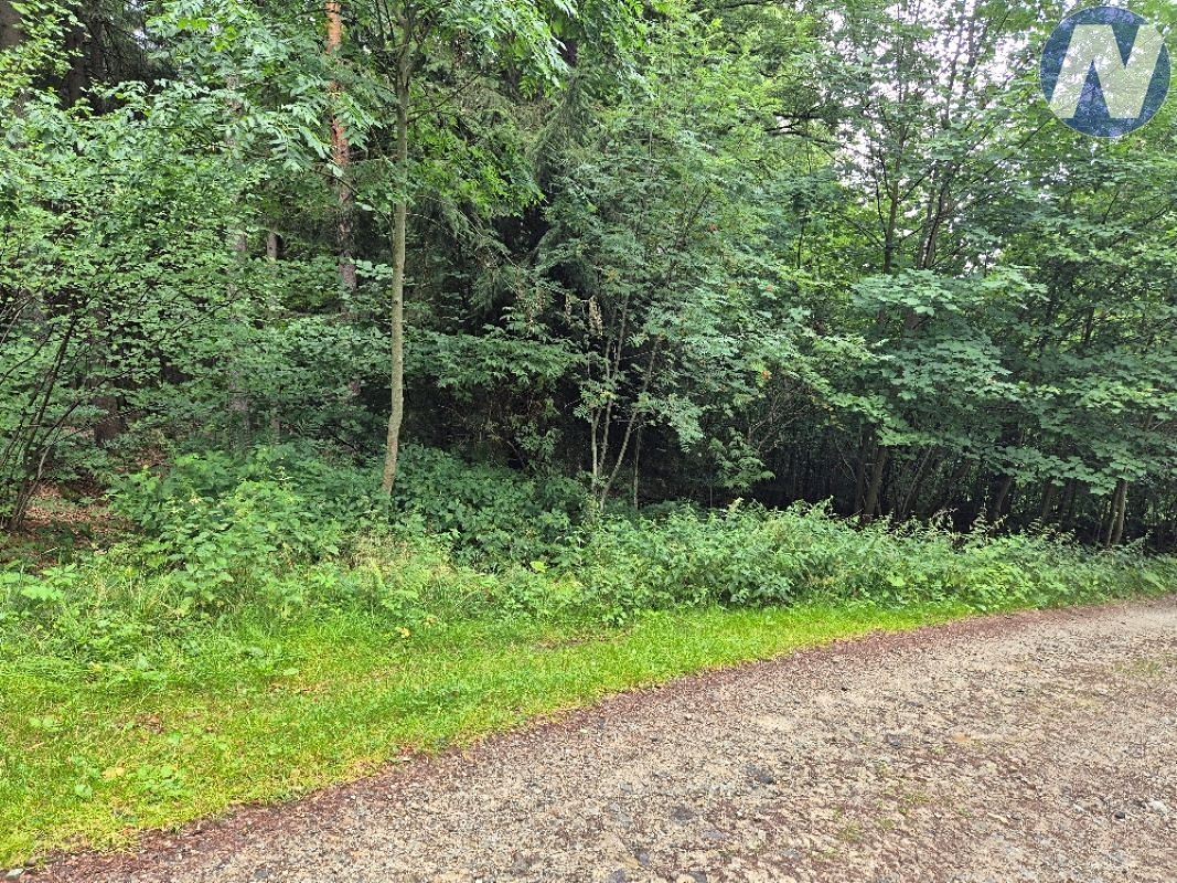 Prodej pozemku 23991 m²