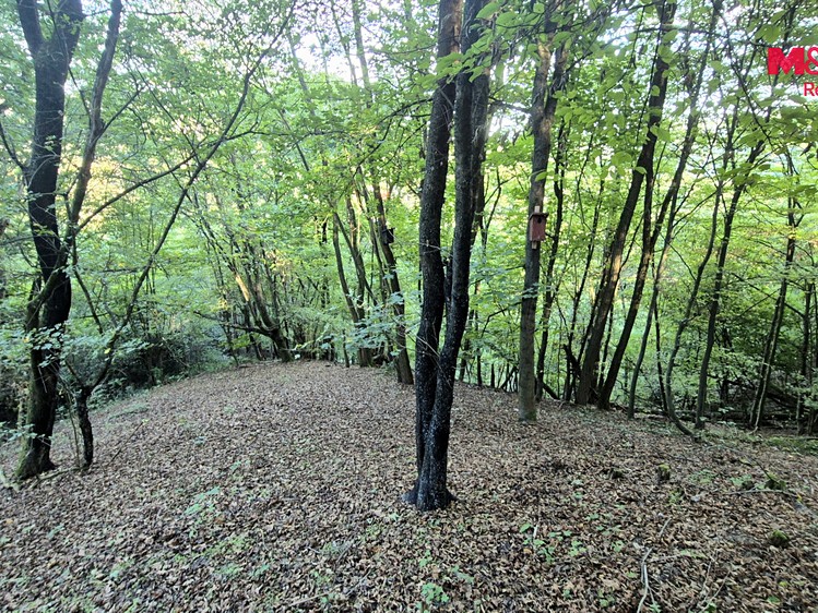 Haus zum Kauf, 33 m² (25 von 28)