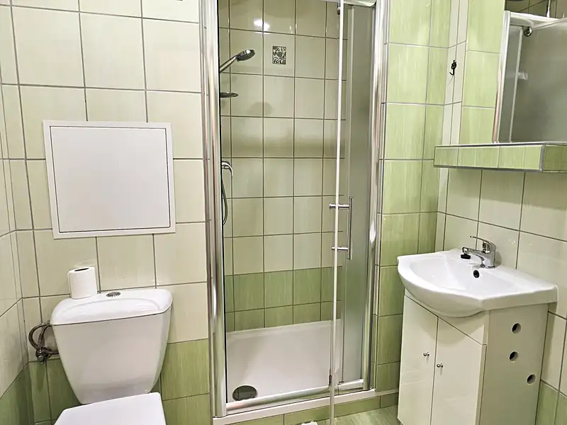 Pronájem bytu 1+1 34 m², Desná – náhled fotky 3