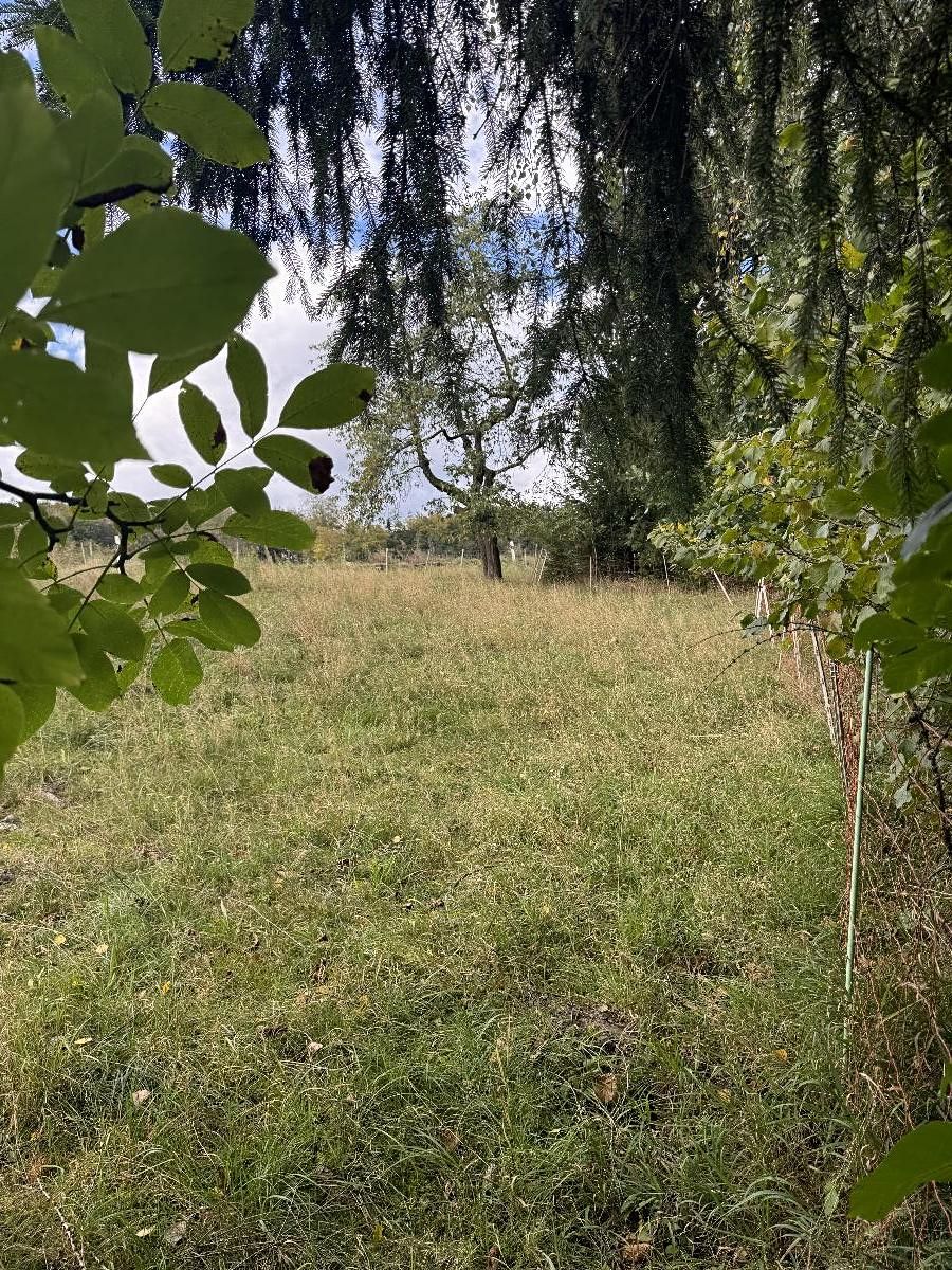 Prodej pozemku 10821 m² – fotografie 2