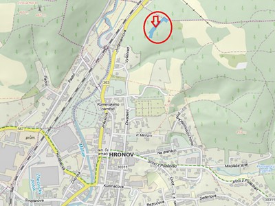 Prodej podílu 1/2  lesa 1 326 m²