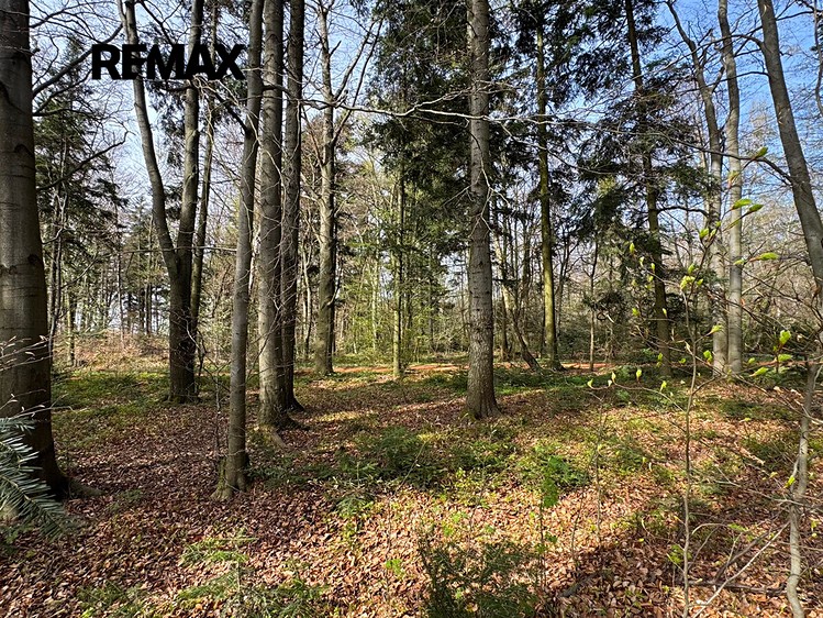 Ділянка на продаж, 25 088 м² (12 з 21)