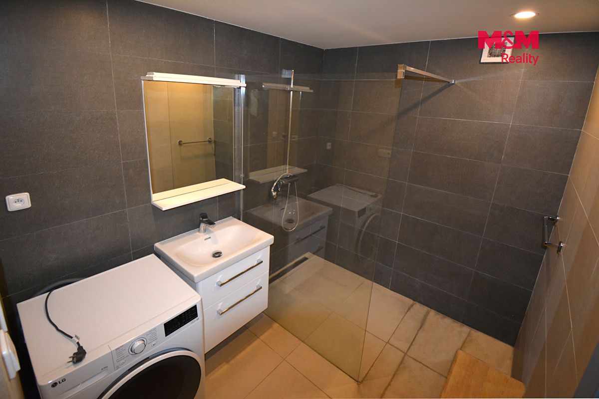 Pronájem rodinného domu 198 m², pozemek 1224 m² – fotografie 4