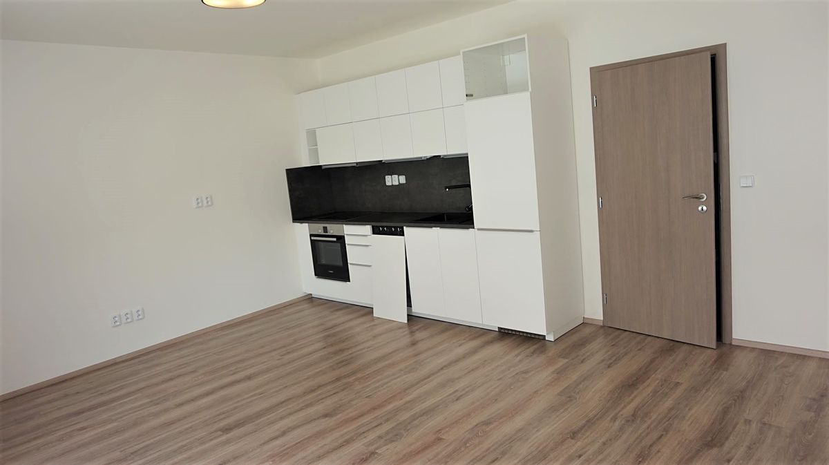 Pronájem bytu 1+kk 49 m²