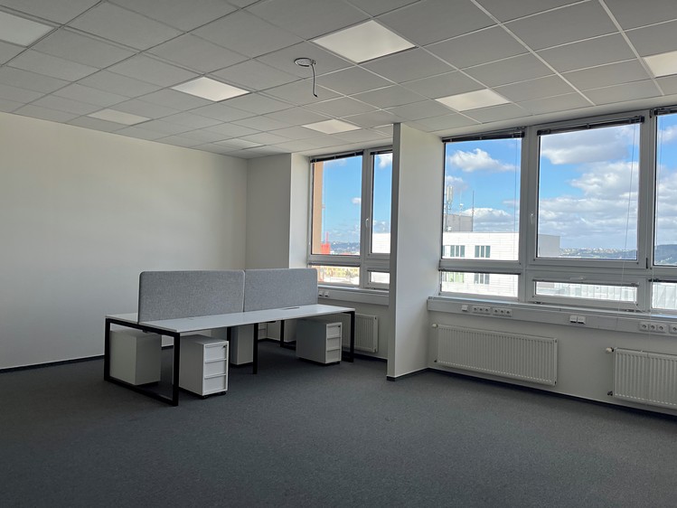 Gewerbefläche zur Miete, 313 m² (3 von 5)