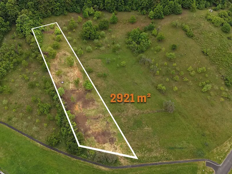 Prodej stavebního pozemku 2921 m², Prakšice – náhled fotky 3