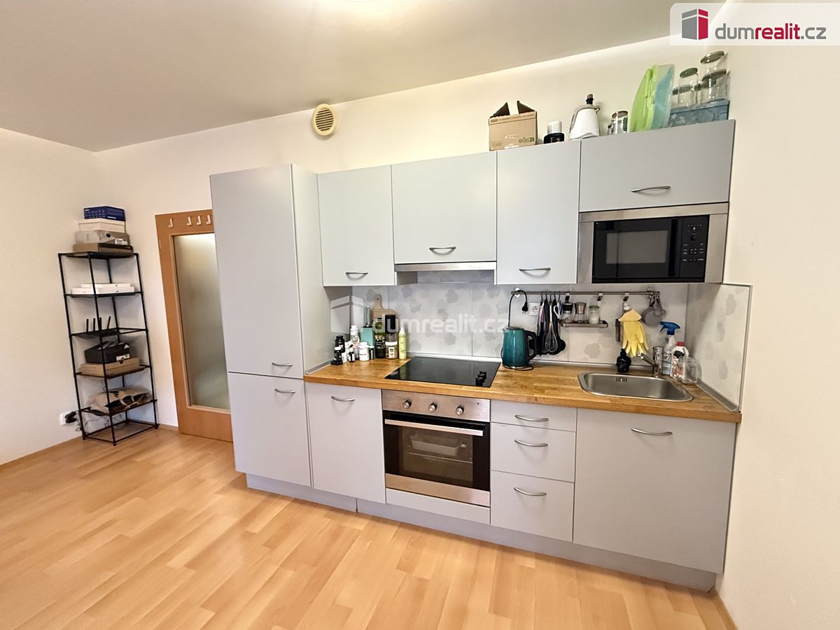 Pronájem bytu 1+kk 39 m² – fotografie 4