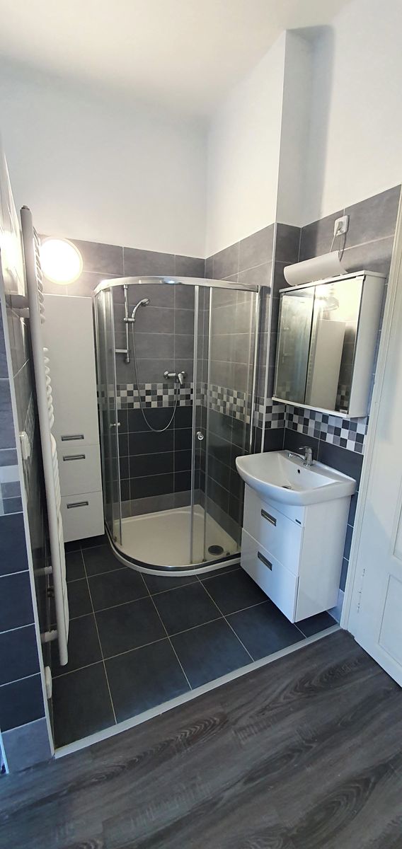 Pronájem bytu 1+1 50 m² – fotografie 4