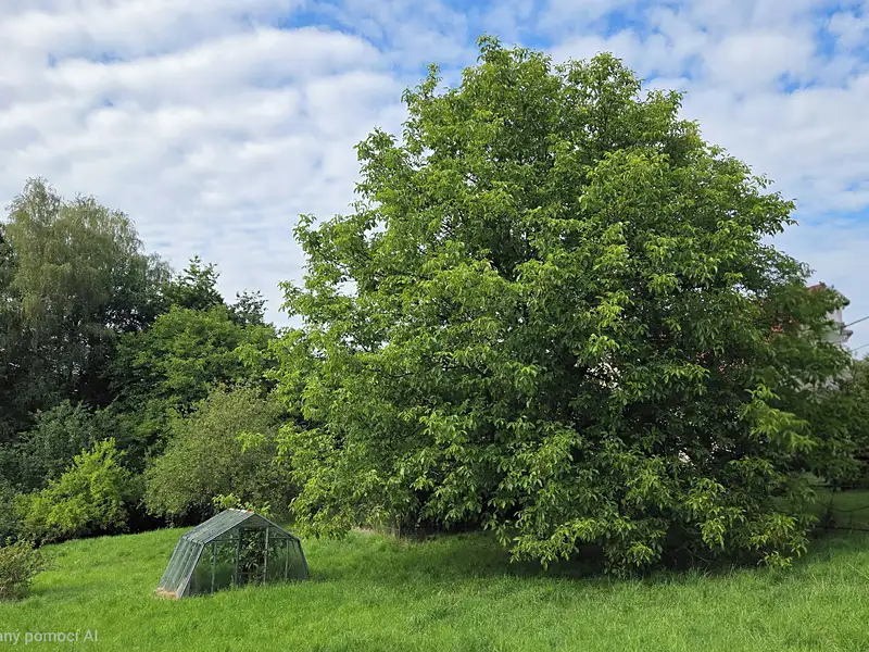 Prodej stavebního pozemku 1643 m², Těrlicko – náhled fotky 1