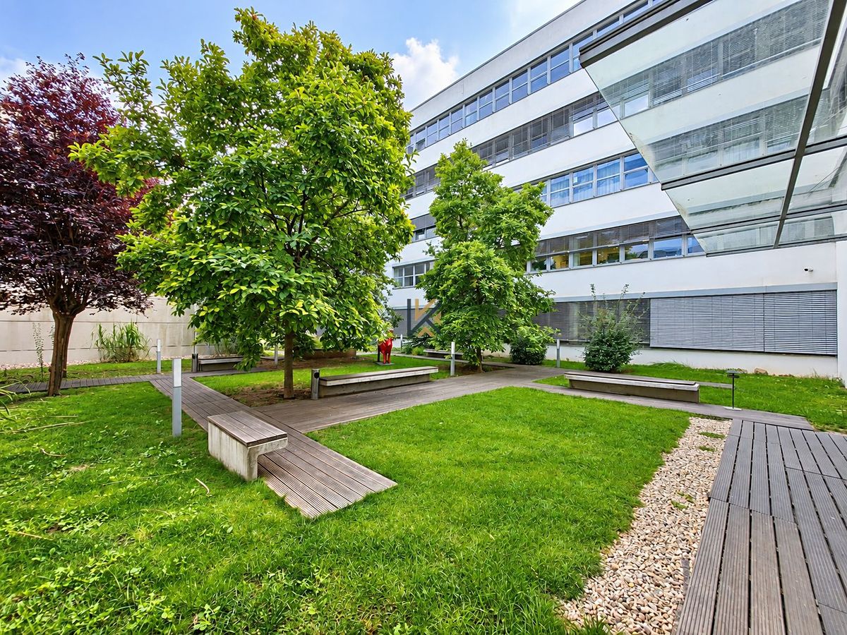 Pronájem kanceláře 2208 m² – fotografie 5