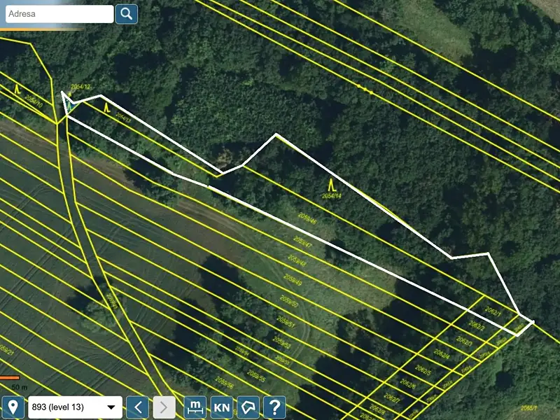 Prodej lesa 2795 m², Mikulčice – náhled fotky 2