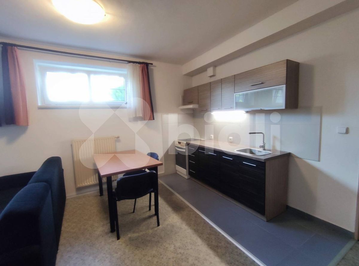 Pronájem bytu 2+kk 48 m² – fotografie 3