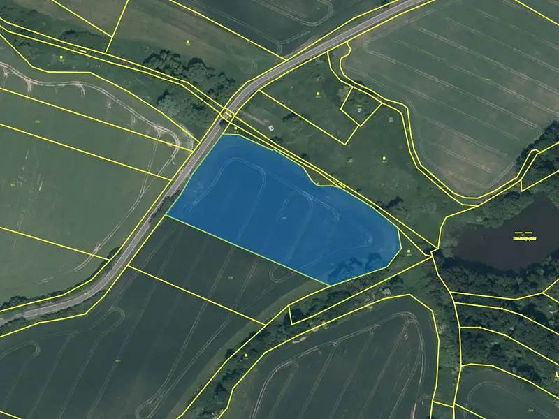 Dražba pozemku 15282 m², Chotýšany – náhled fotky 3