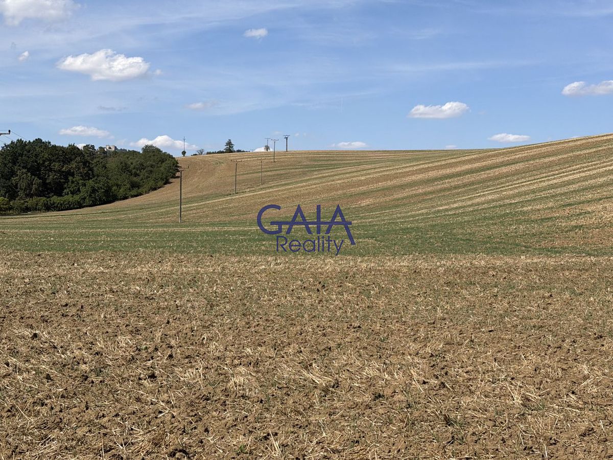 Prodej pole 8411 m²