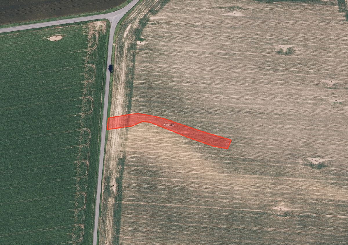 Prodej pole 6317 m² – fotografie 2