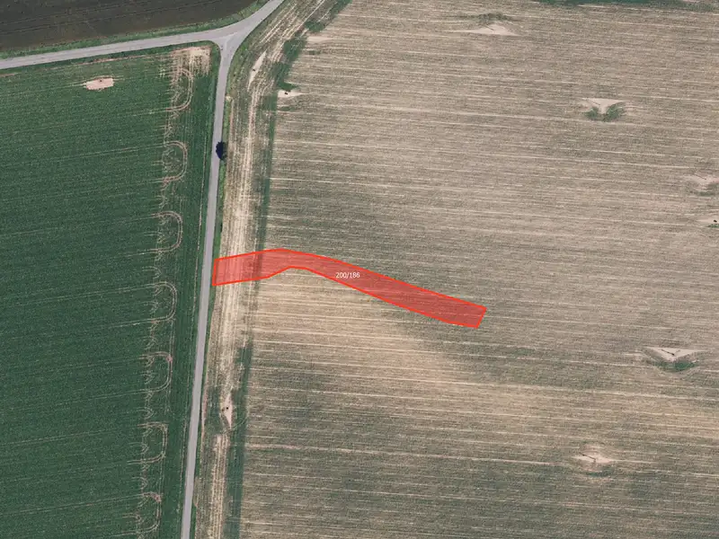 Prodej pole 6317 m², Štarnov – náhled fotky 2