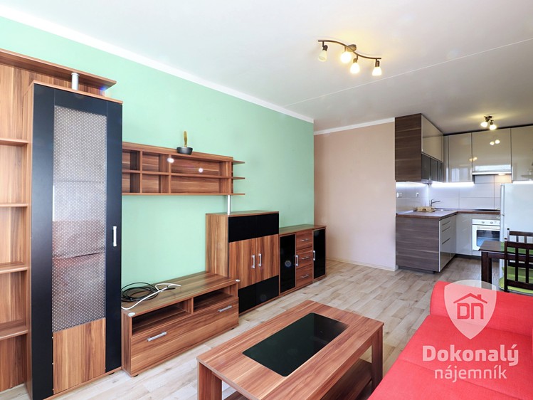 Wohnung 2+kk zur Miete, 45 m² (4 von 17)