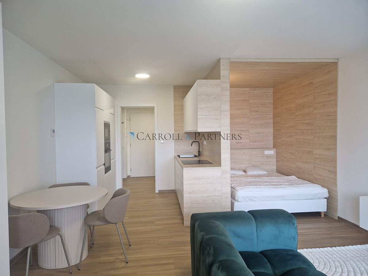 Pronájem bytu 1+kk 40 m² – fotografie 4