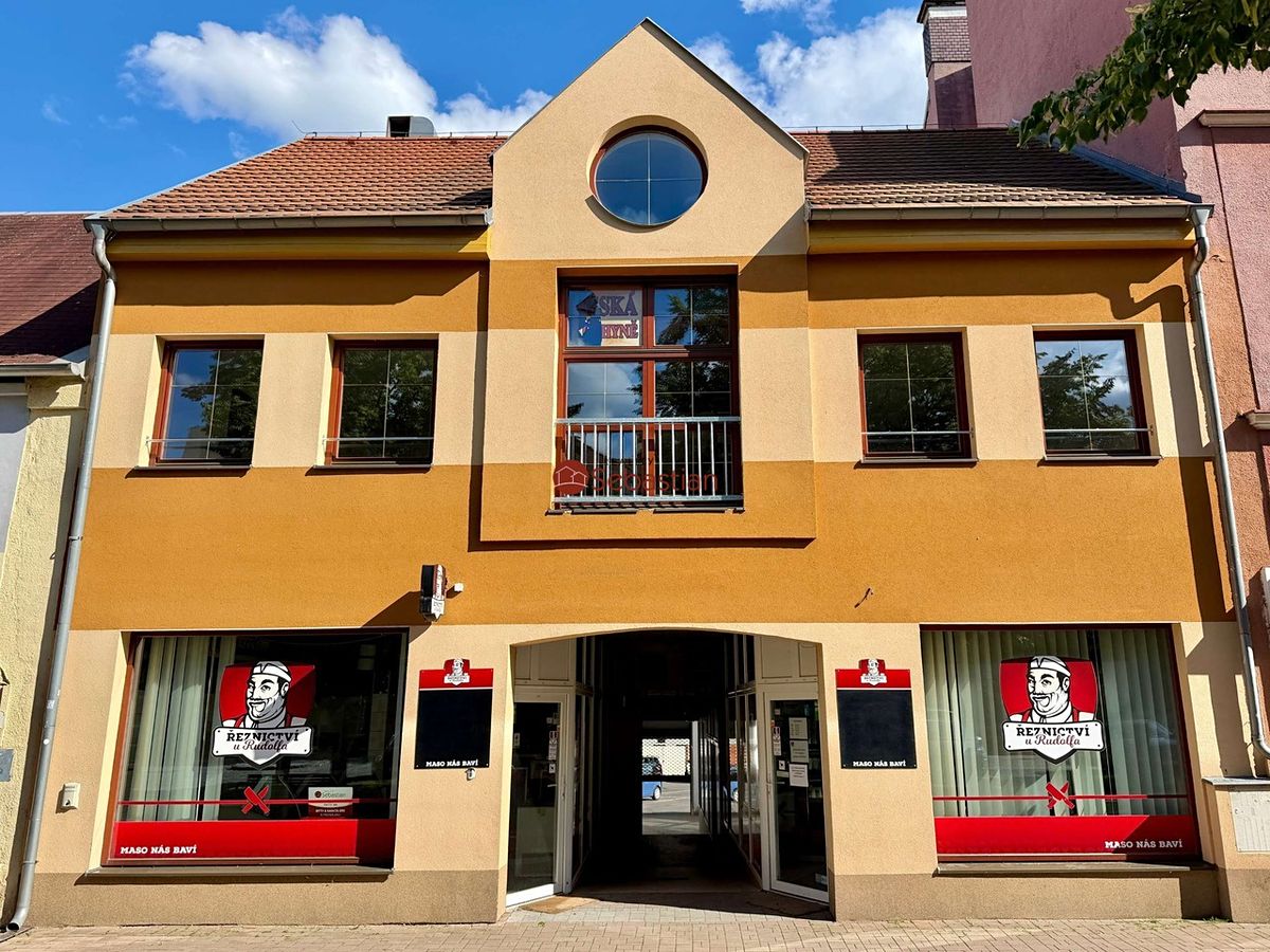 Pronájem bytu 3+kk 53 m² – fotografie 2