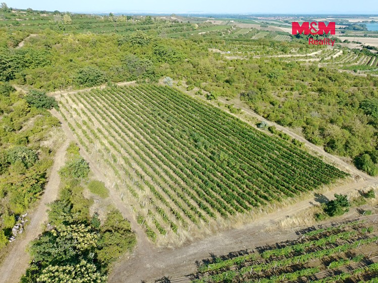 Prodej pozemku, 9 215 m² (3 z 13)