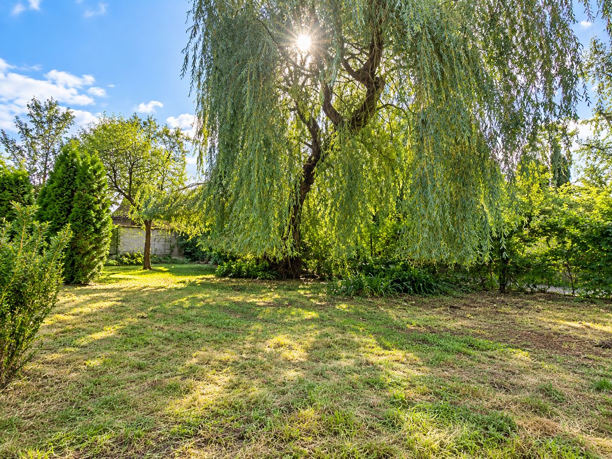 Prodej stavebního pozemku 401 m² – fotografie 4