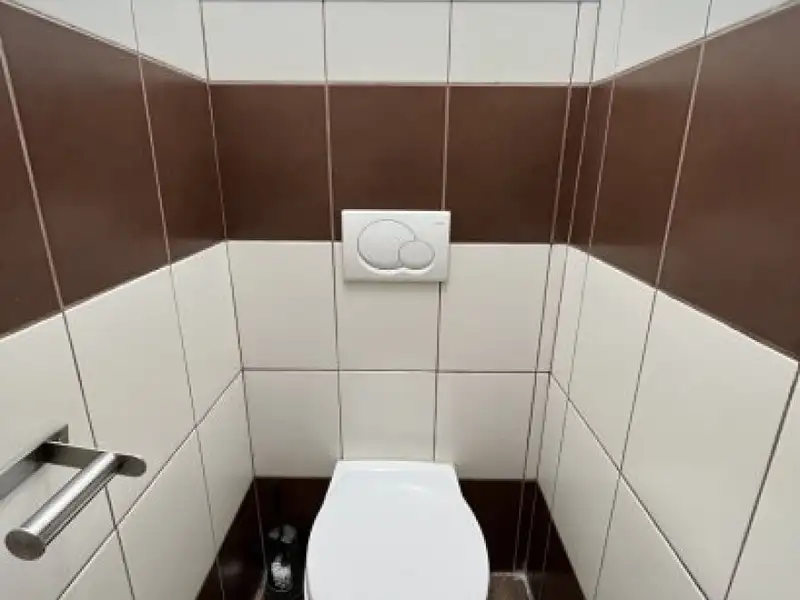 Pronájem bytu 2+1 52 m², Plzeň – náhled fotky 3