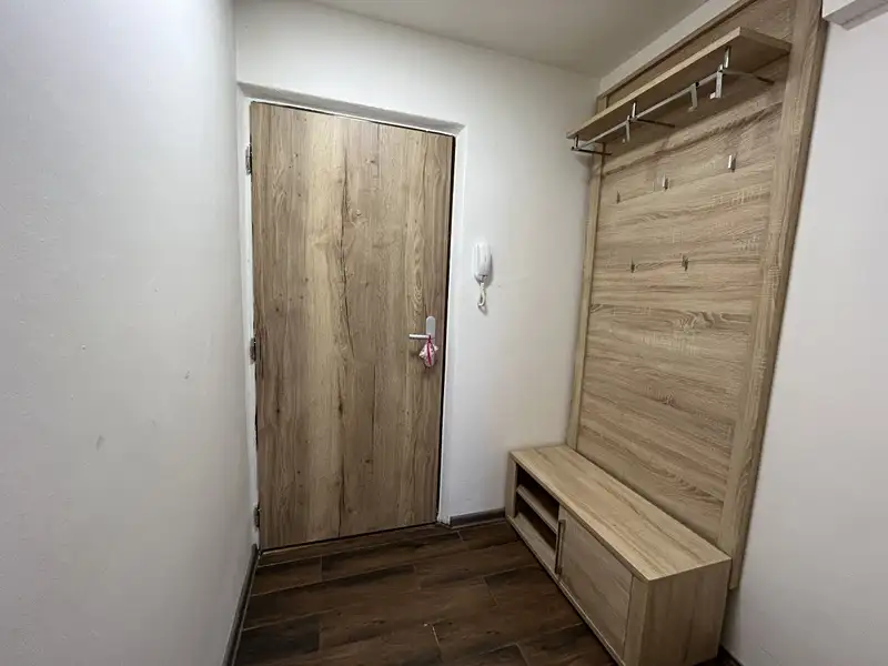 Pronájem bytu 2+1 52 m², Plzeň – náhled fotky 2