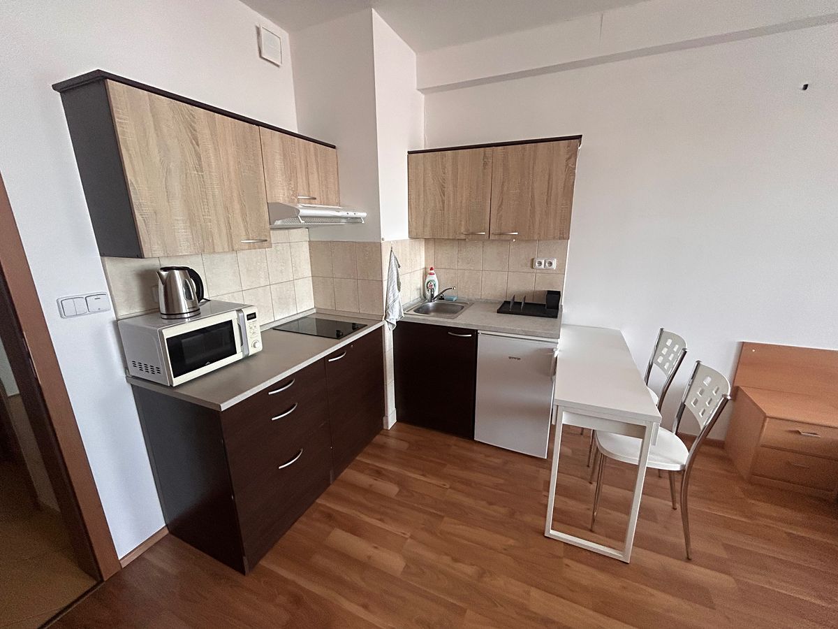 Pronájem bytu 1+kk 30 m² – fotografie 4