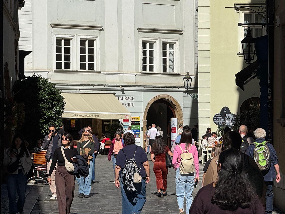 Pronájem obchodního prostoru 350 m²
