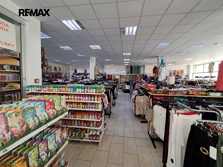 Pronájem komerčního prostoru, 769 m² (13 z 21)