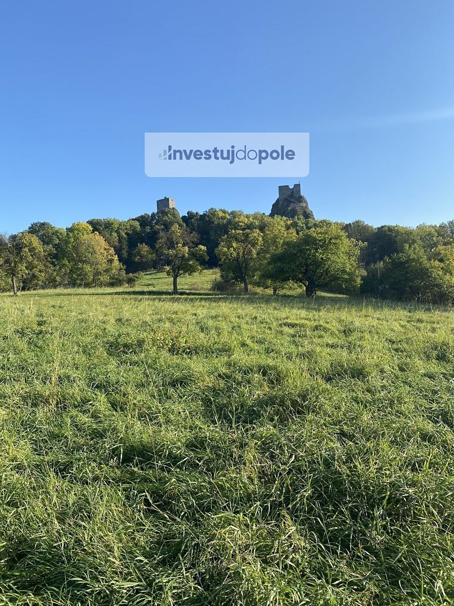 Prodej louky 5567 m² – fotografie 3