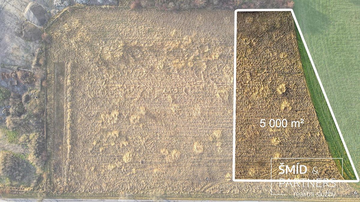Prodej komerčního pozemku 5000 m² – fotografie 3