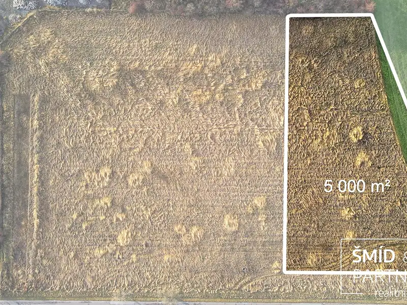 Prodej komerčního pozemku 5000 m², Přelouč – náhled fotky 3