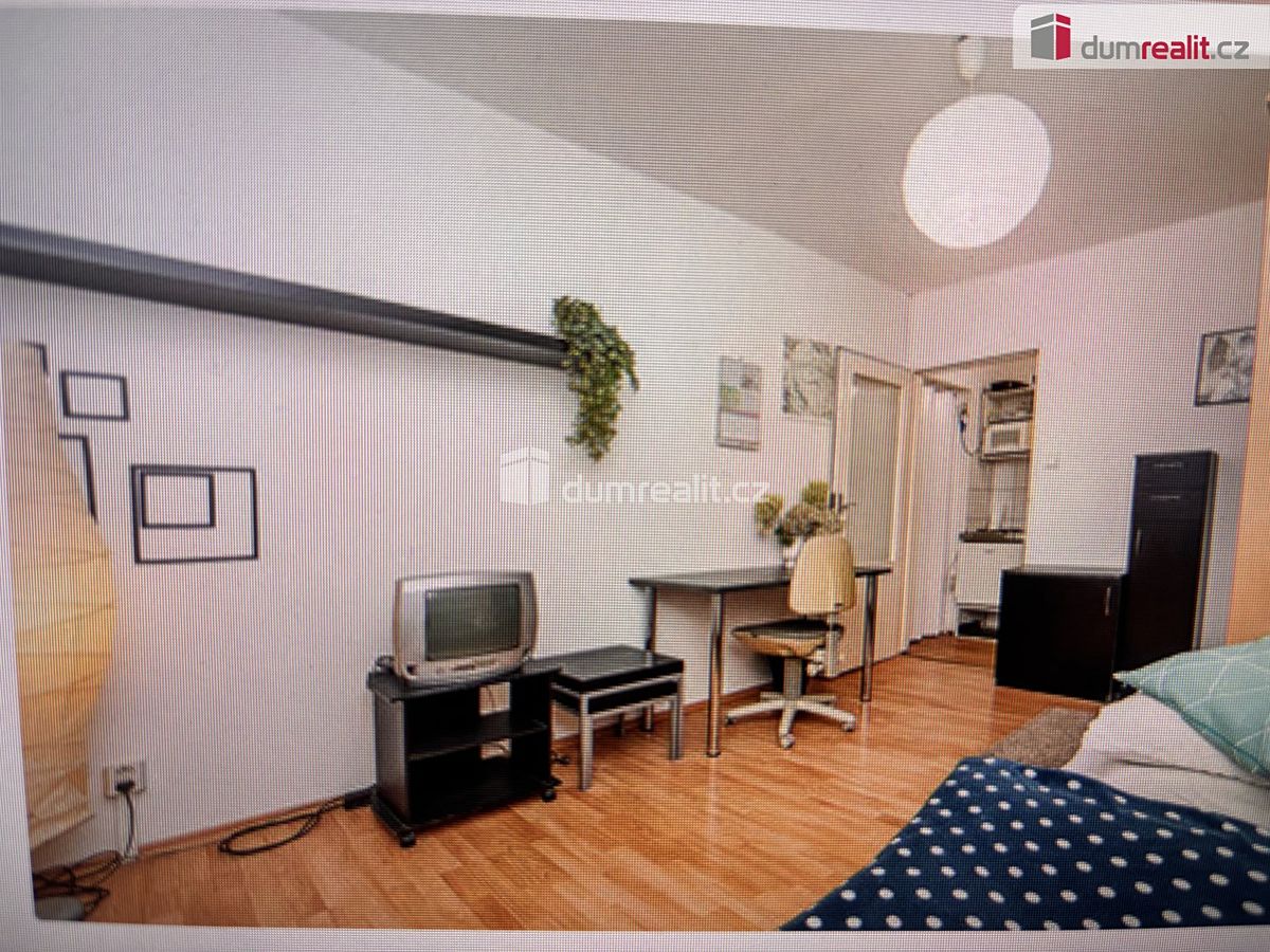Pronájem bytu 1+kk 18 m² – fotografie 4