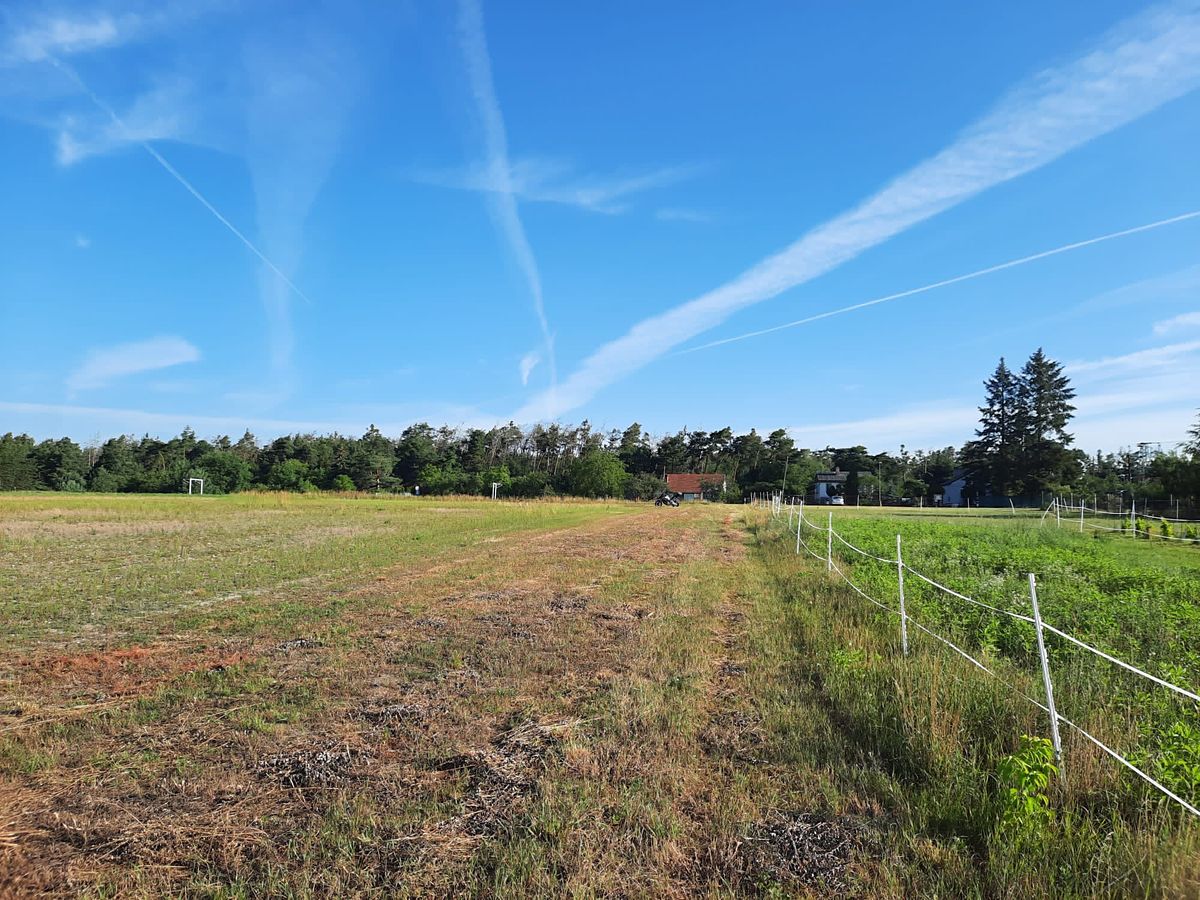 Prodej stavebního pozemku 7007 m² – fotografie 4