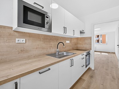Pronájem bytu 2+1 53 m²