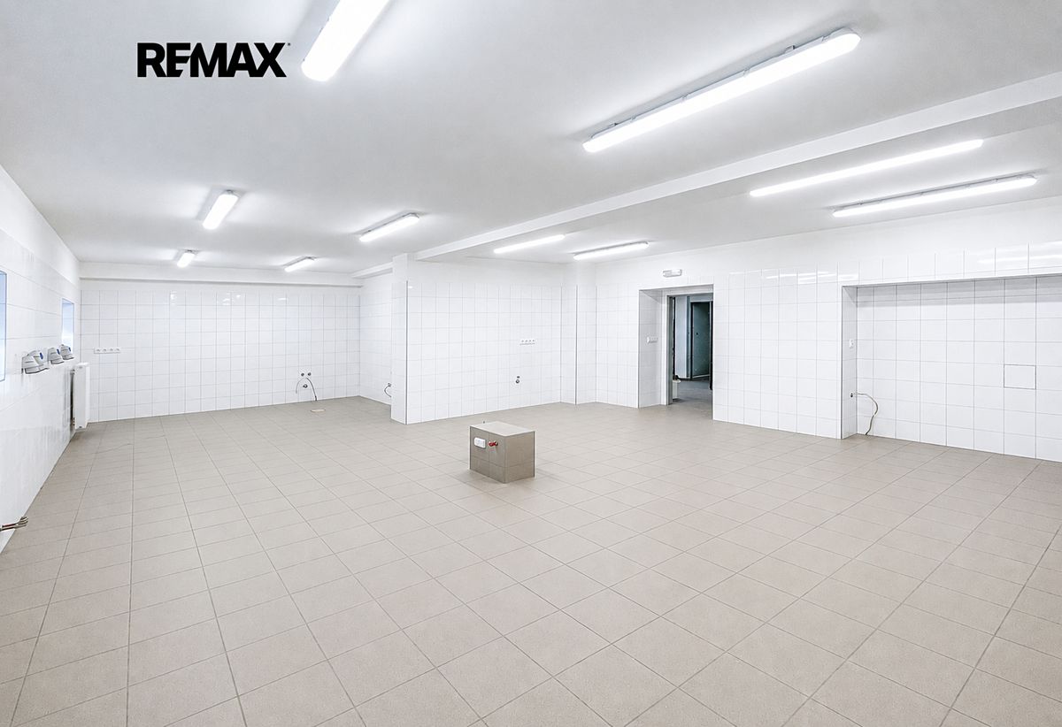 Pronájem výrobní haly, prostoru 275 m²