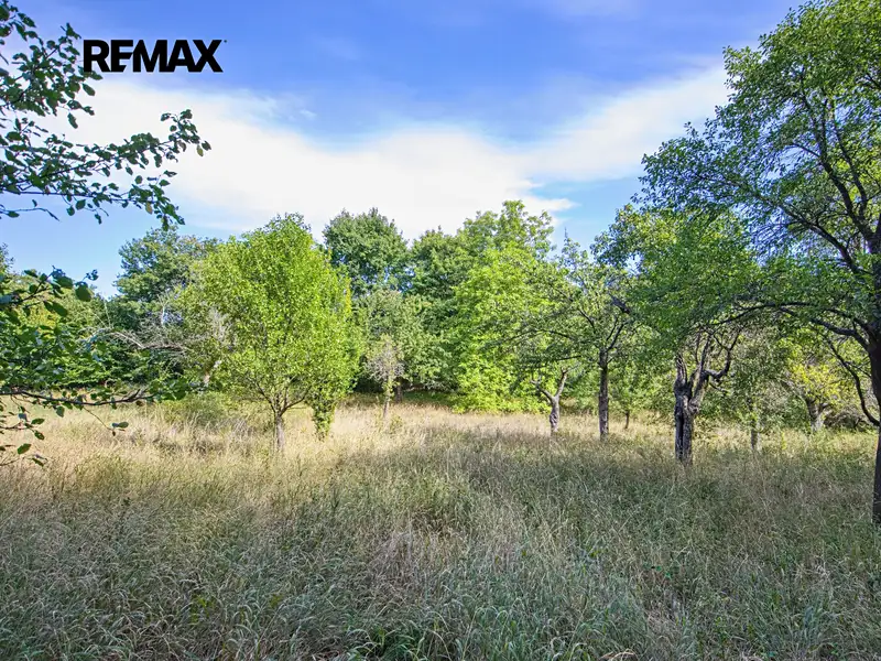 Prodej stavebního pozemku 2661 m², Březnice – náhled fotky 1