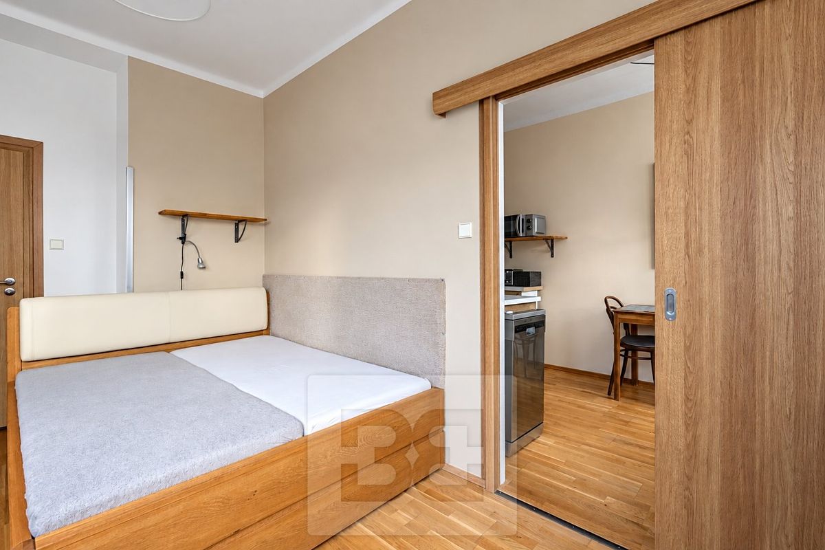 Pronájem bytu 1+1 33 m² – fotografie 3