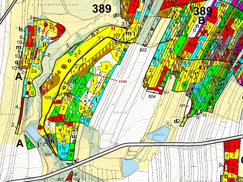 Dražba lesa 9999 m², Strmilov – náhled fotky 3