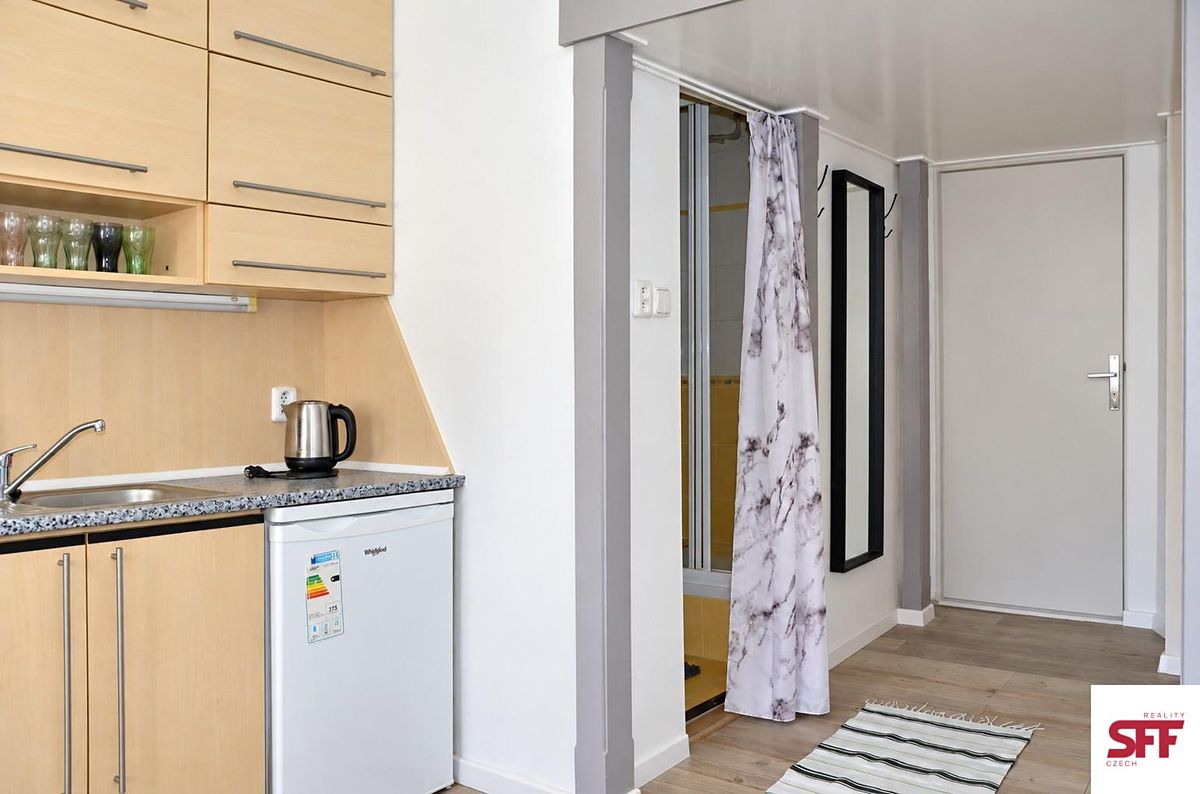 Pronájem bytu 1+kk 17 m² – fotografie 3
