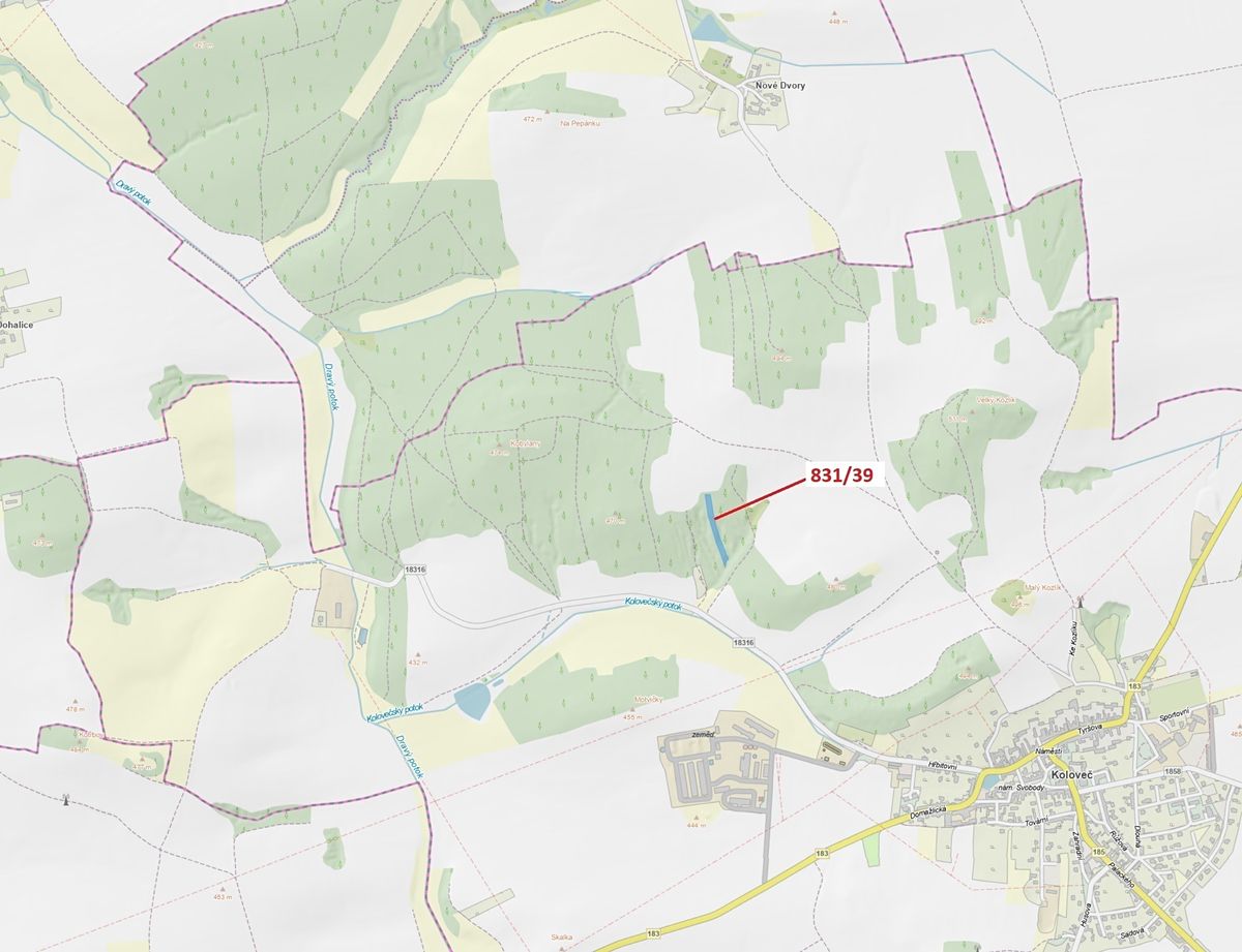 Dražba lesa 3368 m², Koloveč – fotka 1 z 3